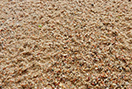 Крупнозернистый песок