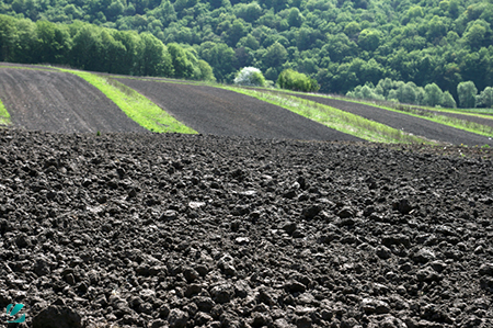 Разрабатывание и впашка плодородного грунта в полевых условиях